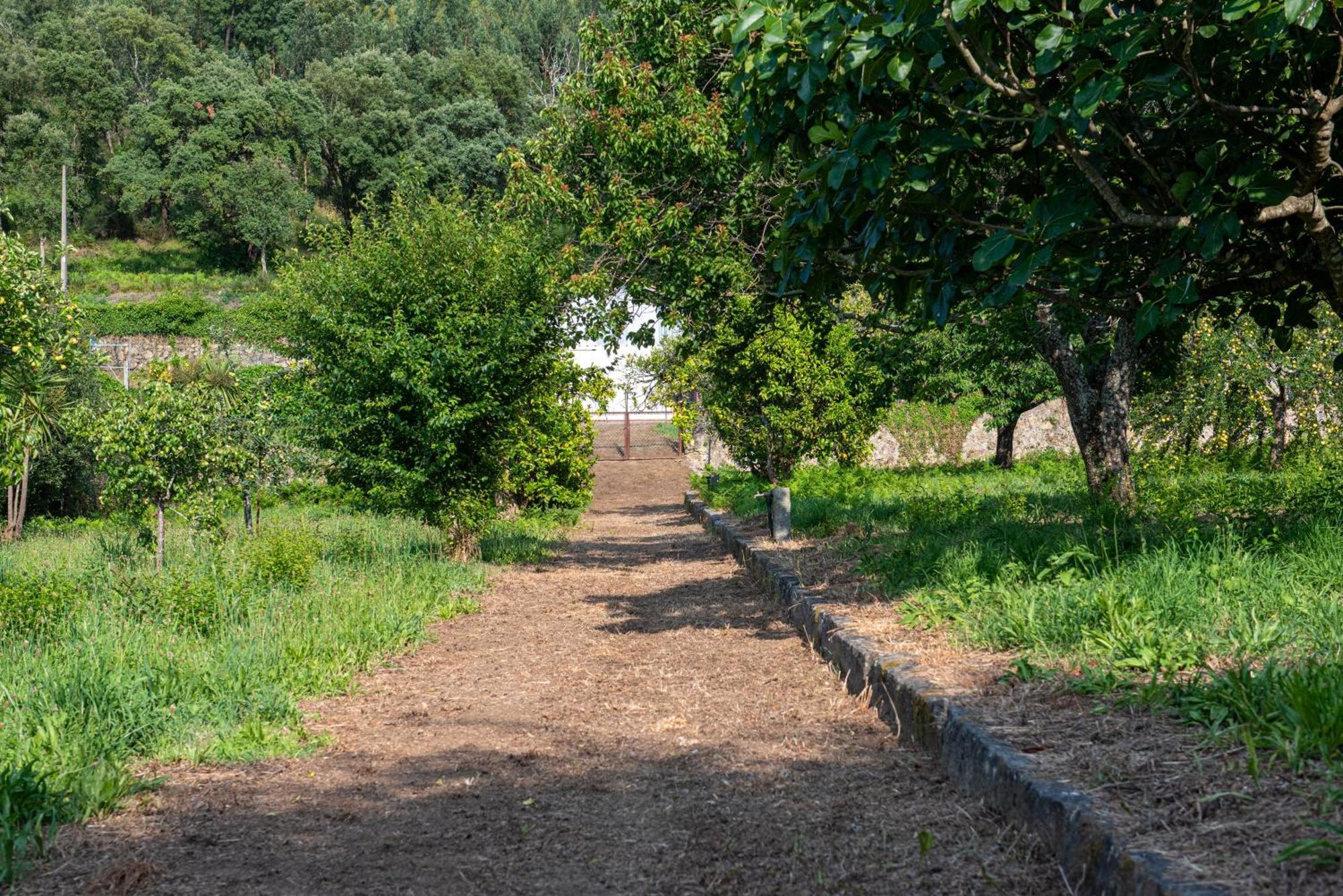 Casa Da Torre Luxury Villa In בראגה מראה חיצוני תמונה