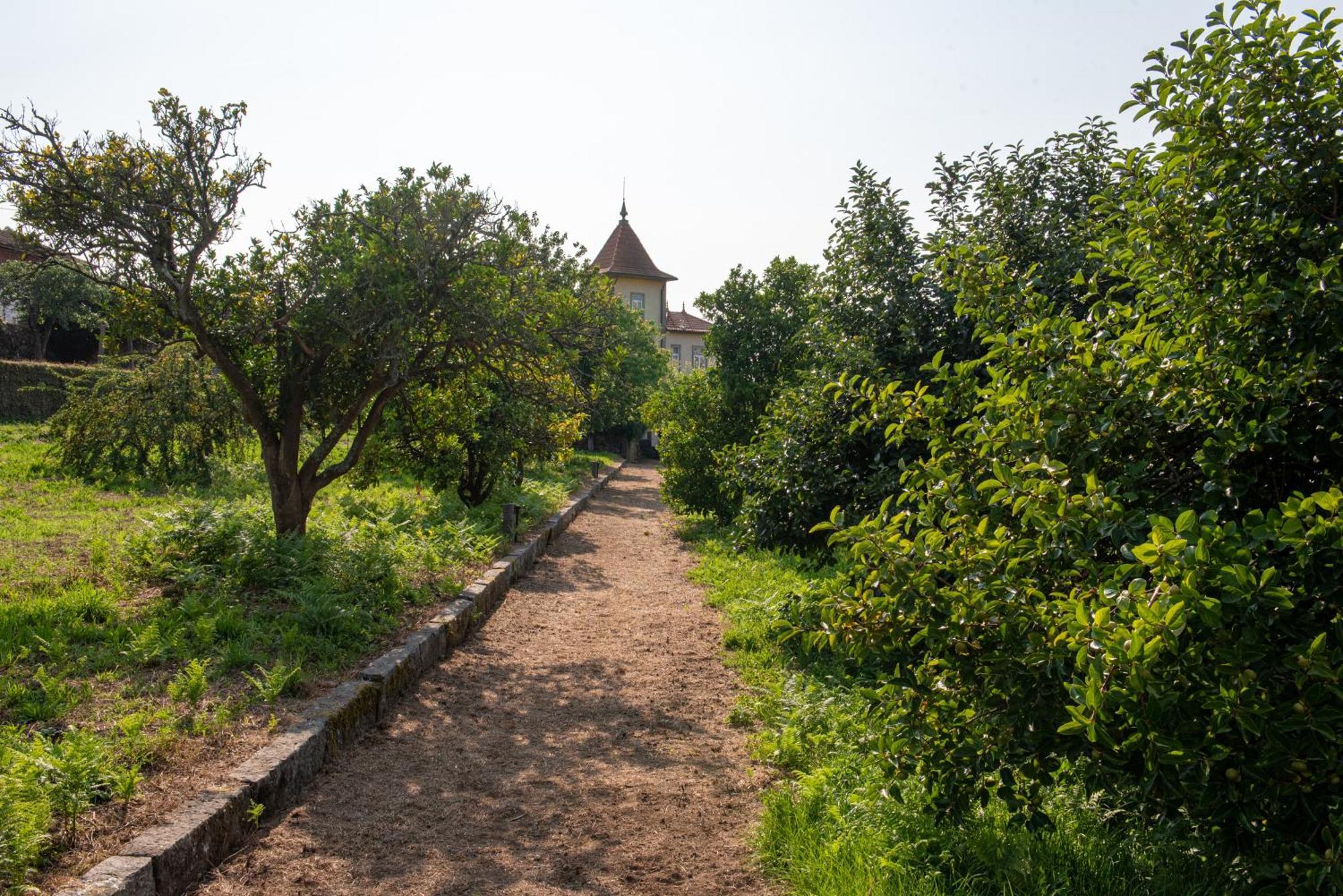 Casa Da Torre Luxury Villa In בראגה מראה חיצוני תמונה
